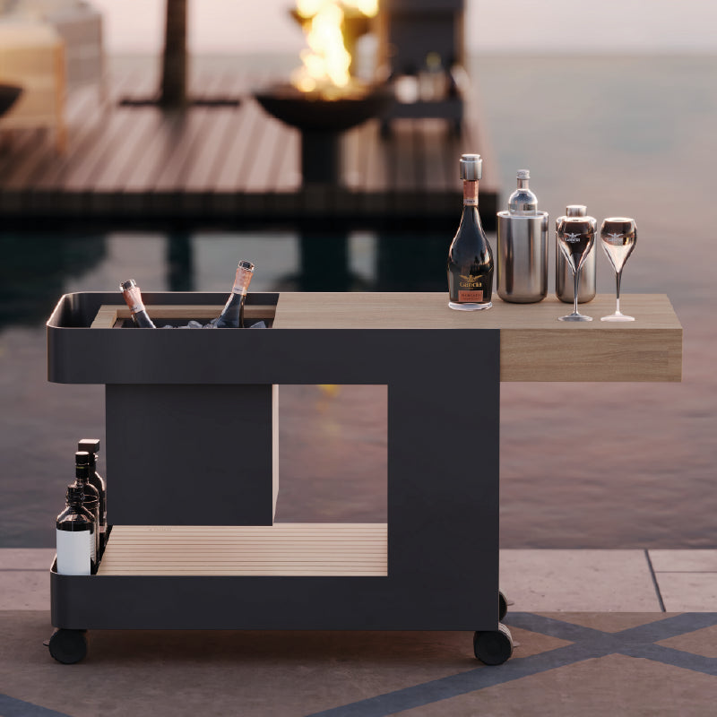 Indu+ Iceboy trolley – zwart
